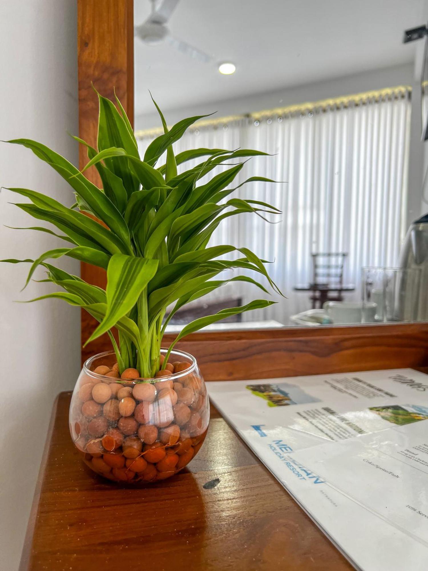 Meridian Holiday Resort Ratnapura Extérieur photo