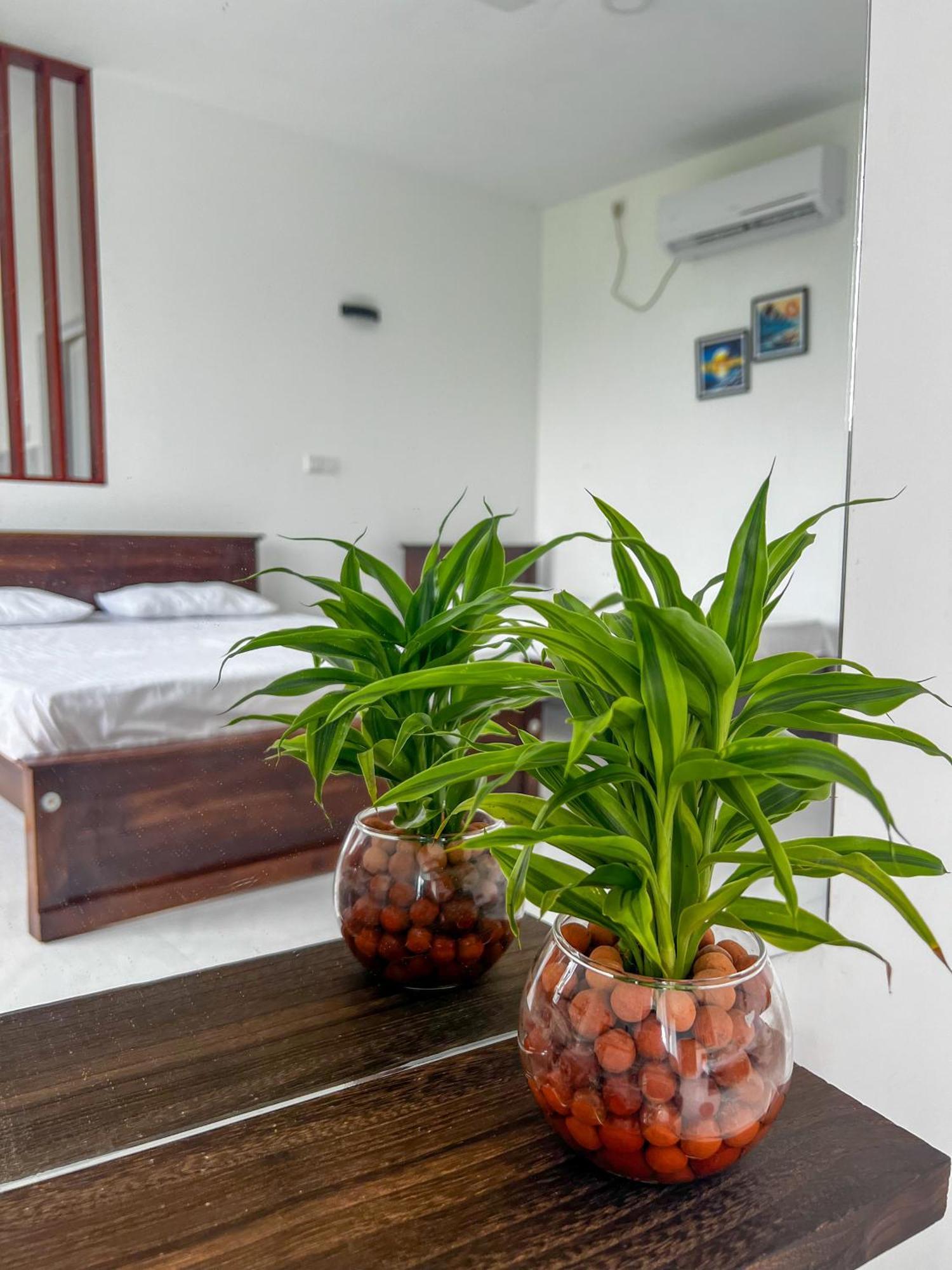 Meridian Holiday Resort Ratnapura Extérieur photo